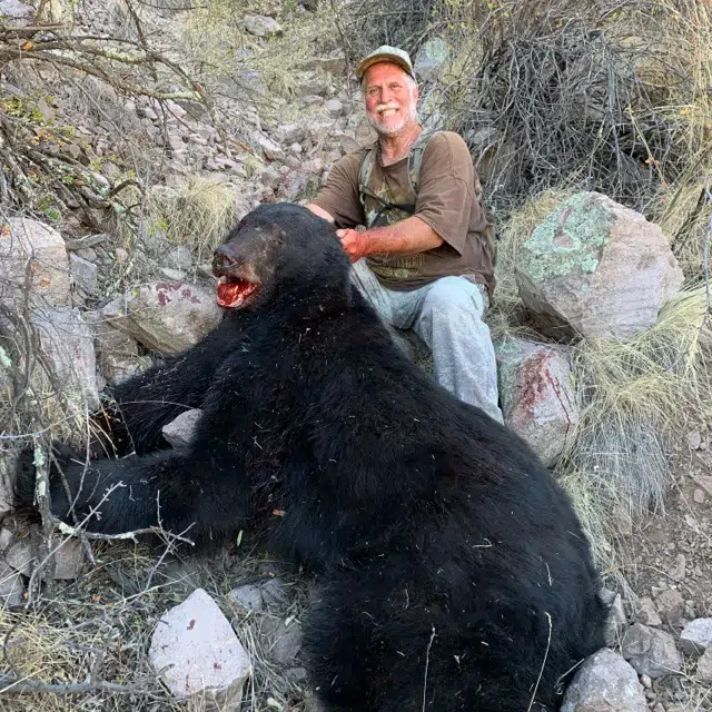 Red Cabin Outfitters Over the Counter Bear Hunts Arizona