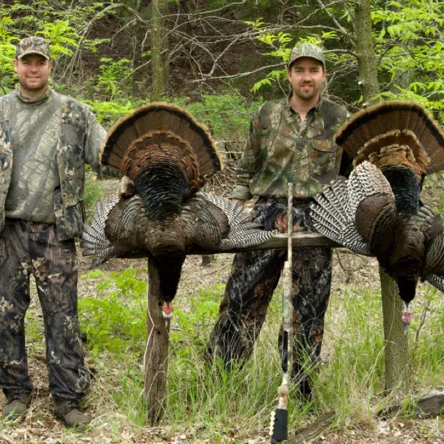 Red Cabin Outfitters Over the Counter Turkey Hunts