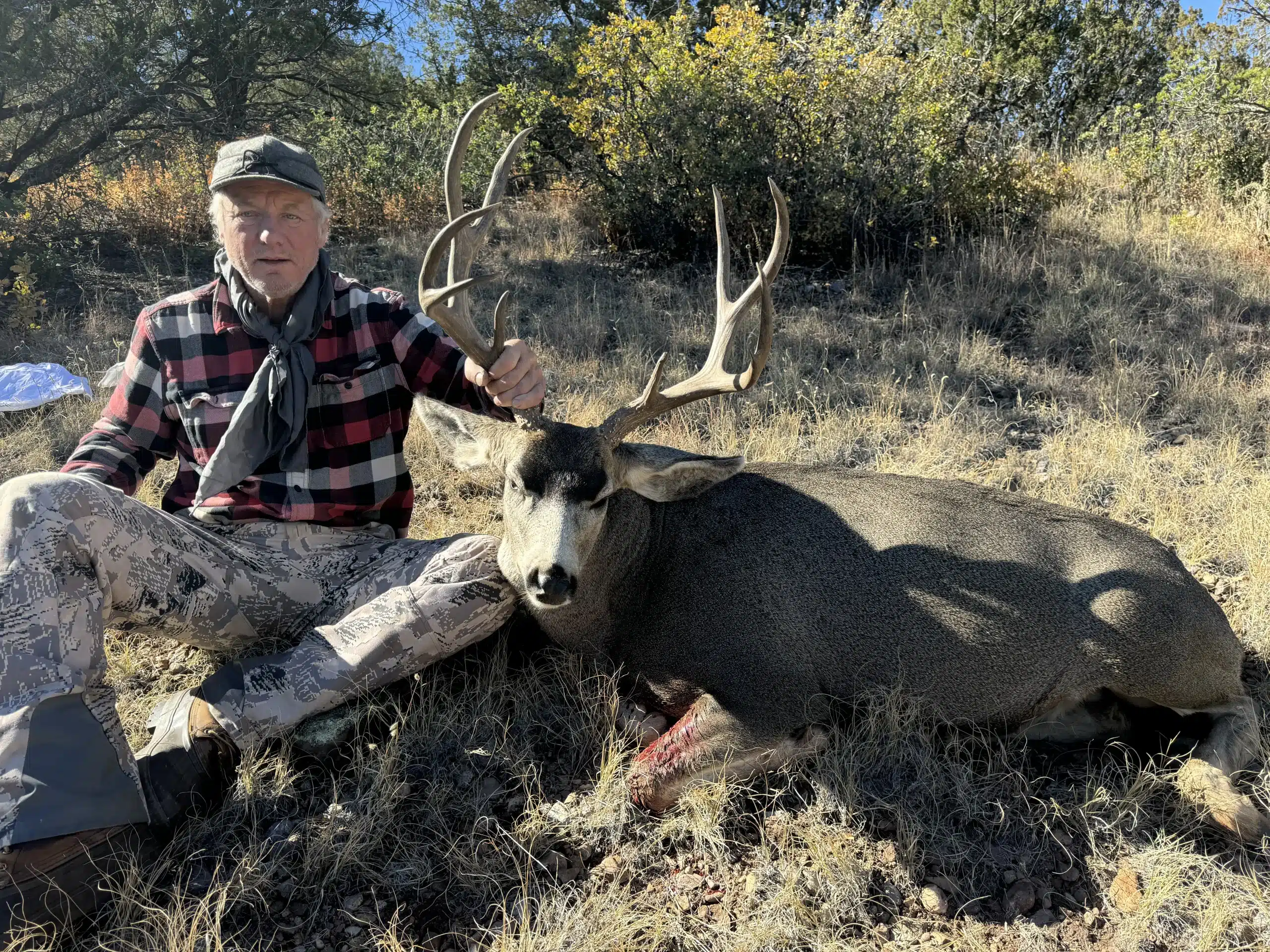 Mule Deer Hunts Arizona Arizona