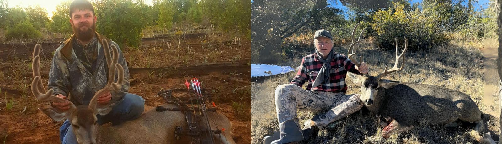 Mule Deer Hunts Arizona