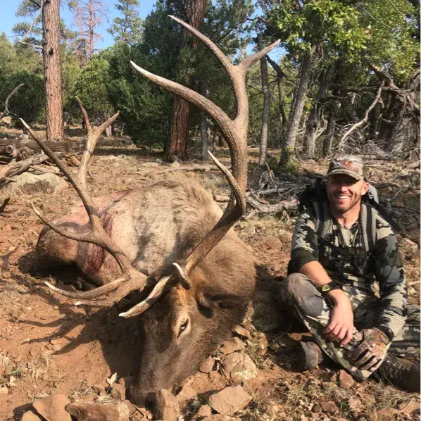 Arizona Elk Hunts Arizona