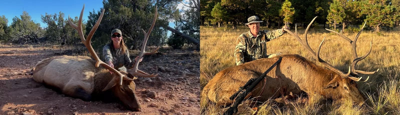 Trophy Elk Hunts Arizona