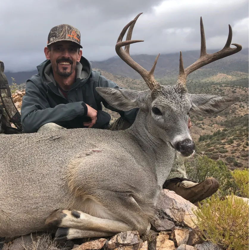 Coues Deer Hunts Arizona