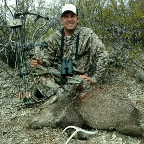 Javelina Hunts Arizona