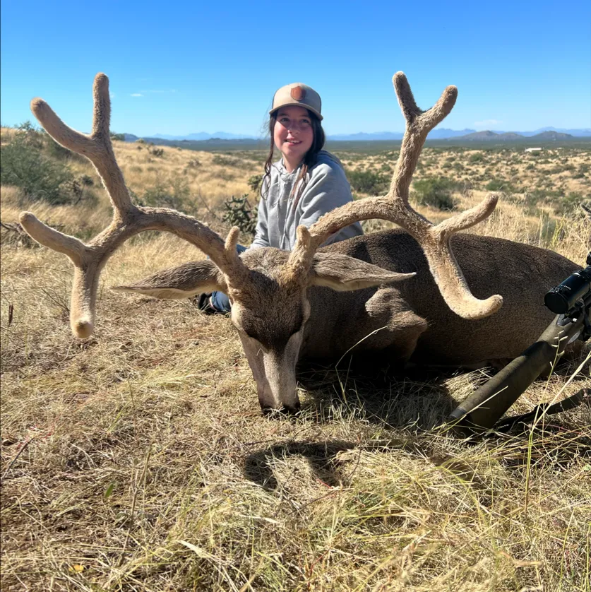 Mule Deer Hunts Arizona