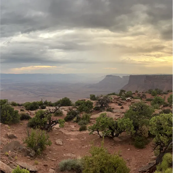 Ranch Arizona