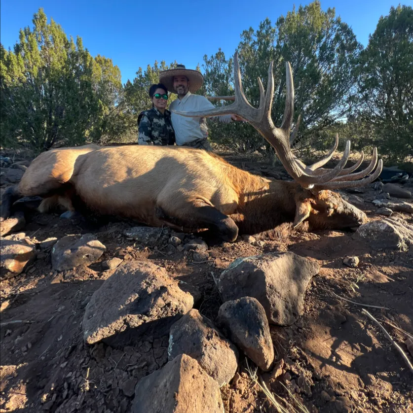 Trophy Elk Hunts Arizona Arizona