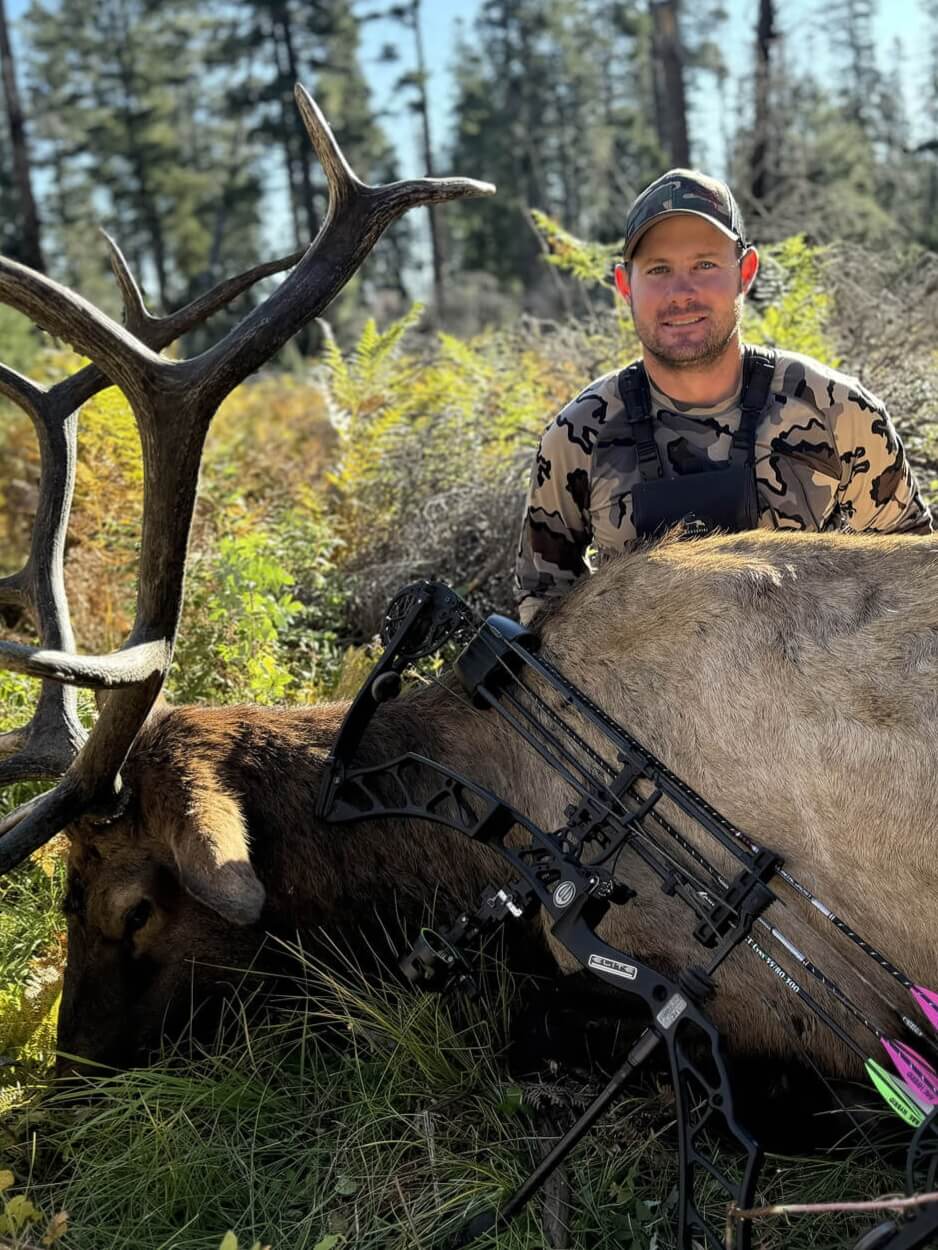 Untitled designs (1)