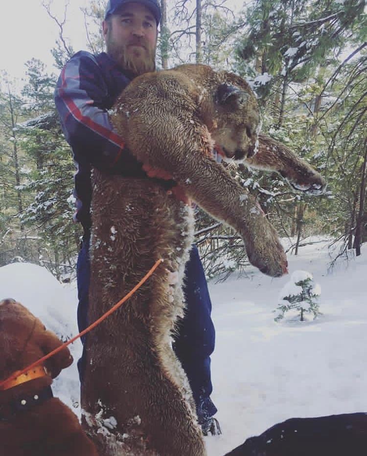 rco-snow-lion-bearded-hunter-tom-hounds.jpg